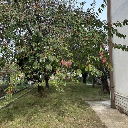 Easy West Monfalcone